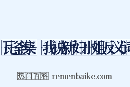 瓦釜集·我说新妇小姐反义词是什么意思的图片